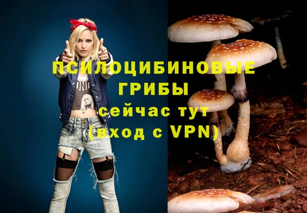 соль курить ск Костерёво