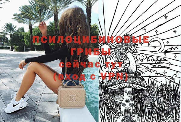 а пвп мука Корсаков