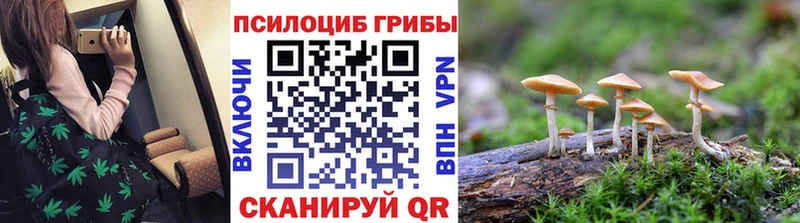Псилоцибиновые грибы Psilocybine cubensis  Макаров 